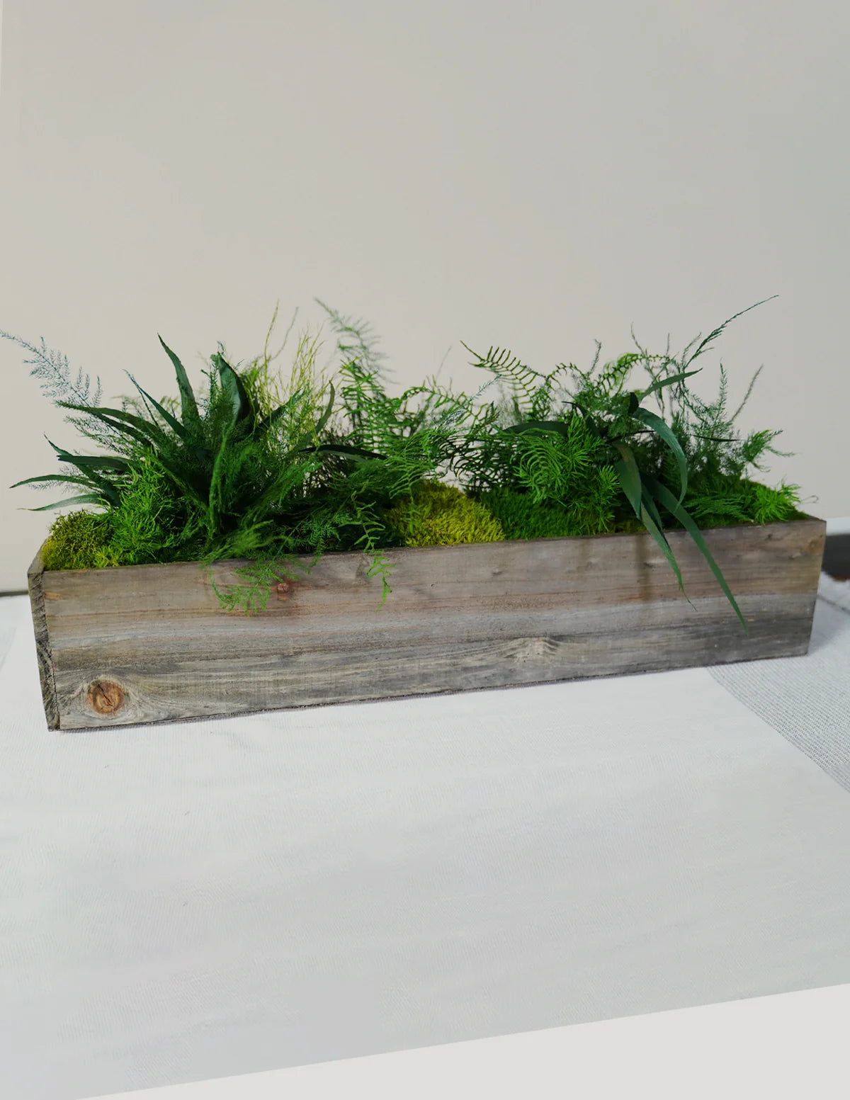 Preserved Moss & Fern Box