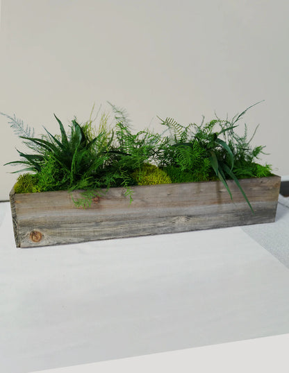 Preserved Moss & Fern Box