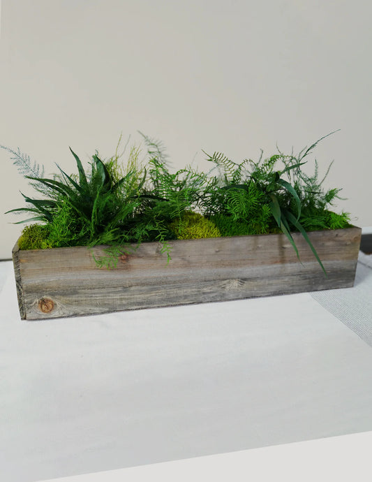 Preserved Moss & Fern Box