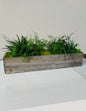 Preserved Moss & Fern Box